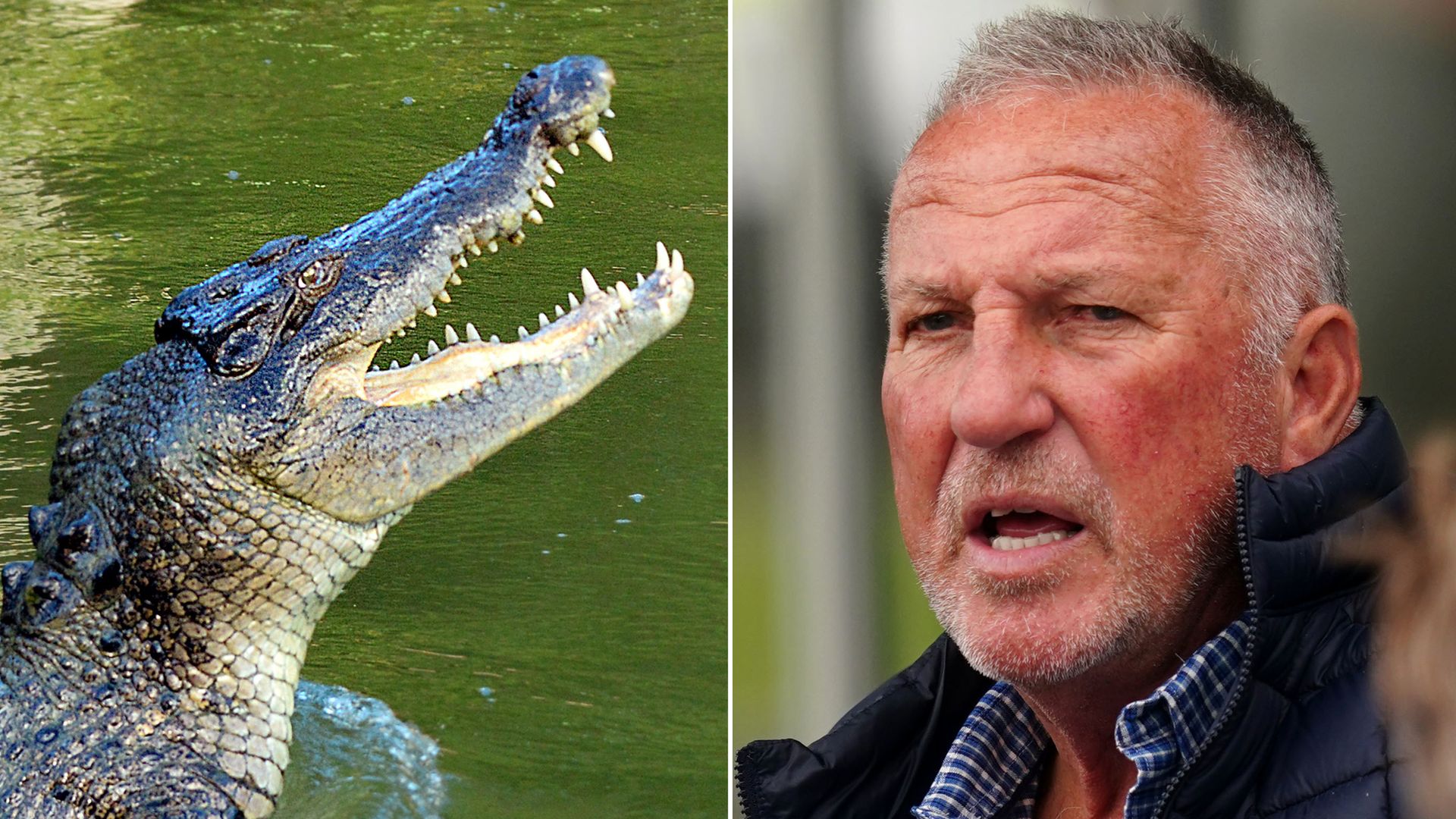Cricket legend falls into crocodile-infested waters