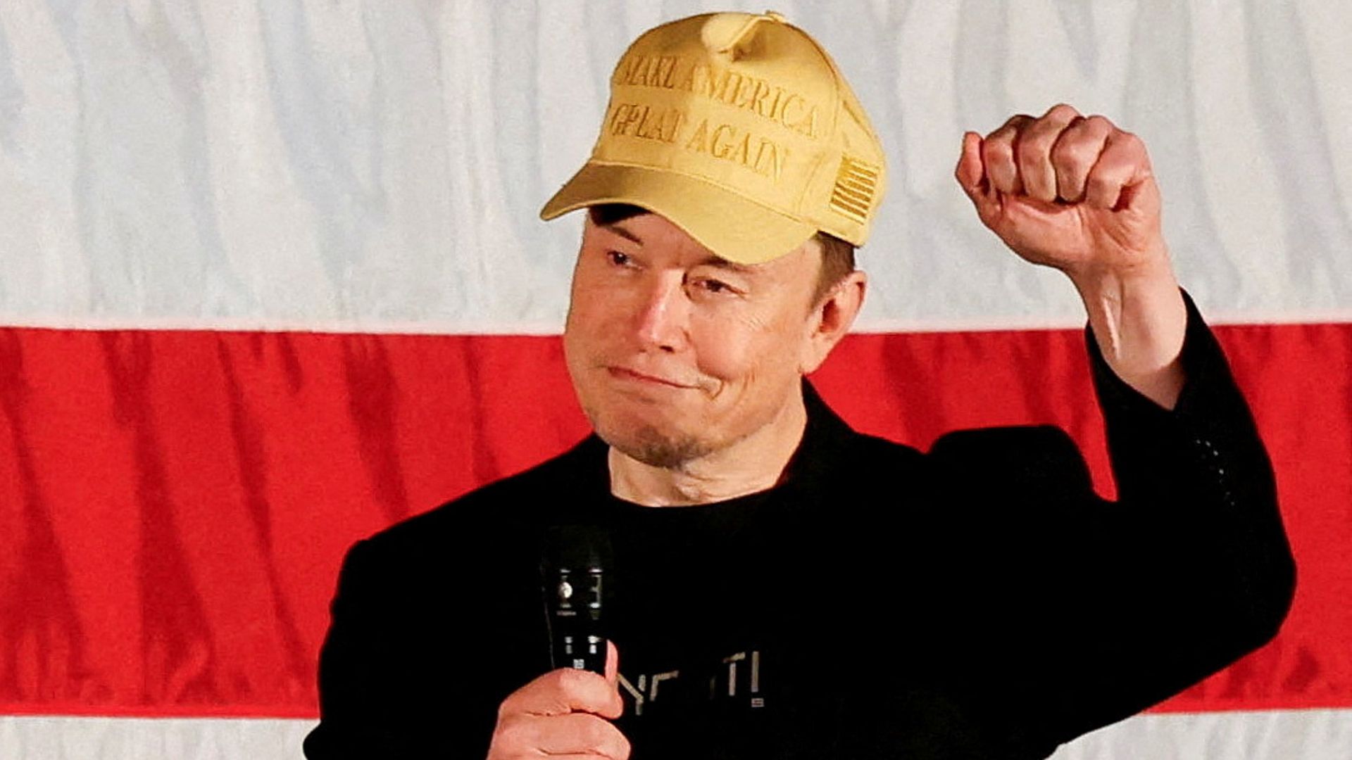 Donald Trump confirms Elon Musk will co-lead new government efficiency department