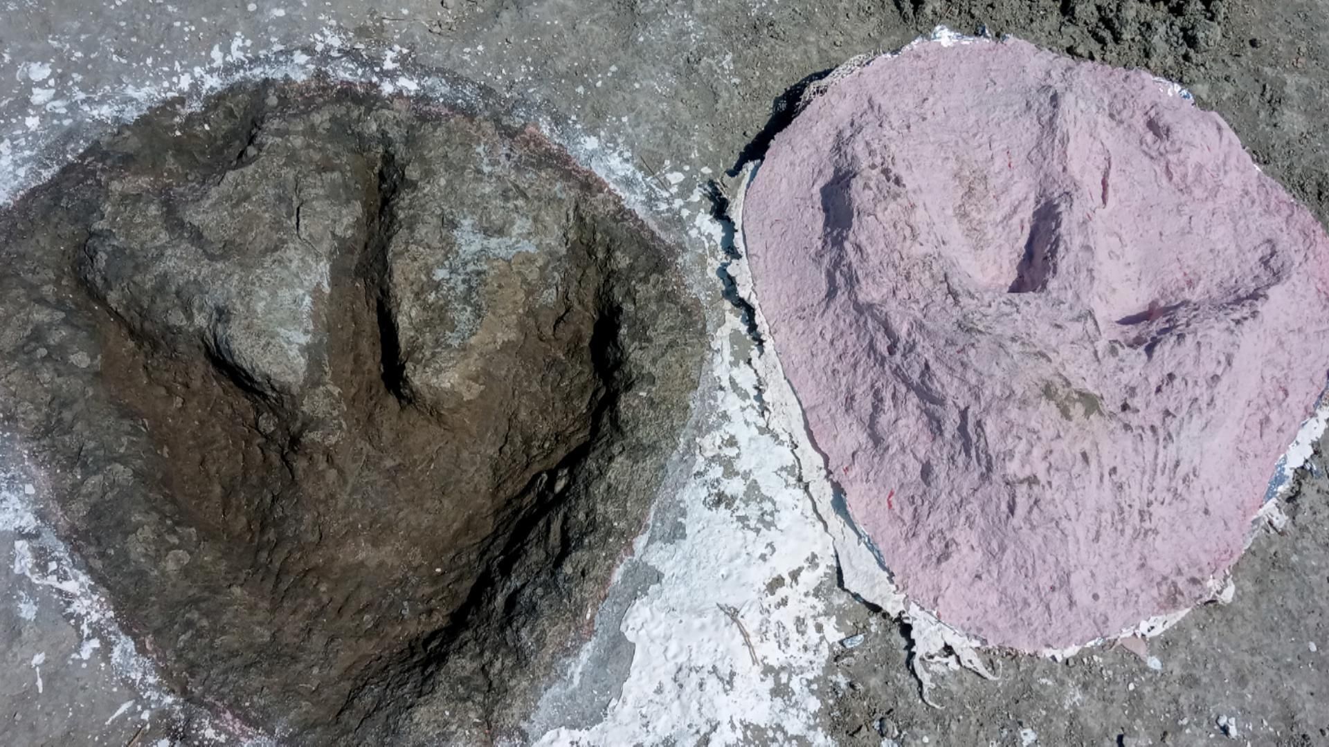 Hundreds of dinosaur footprints discovered in Oxfordshire