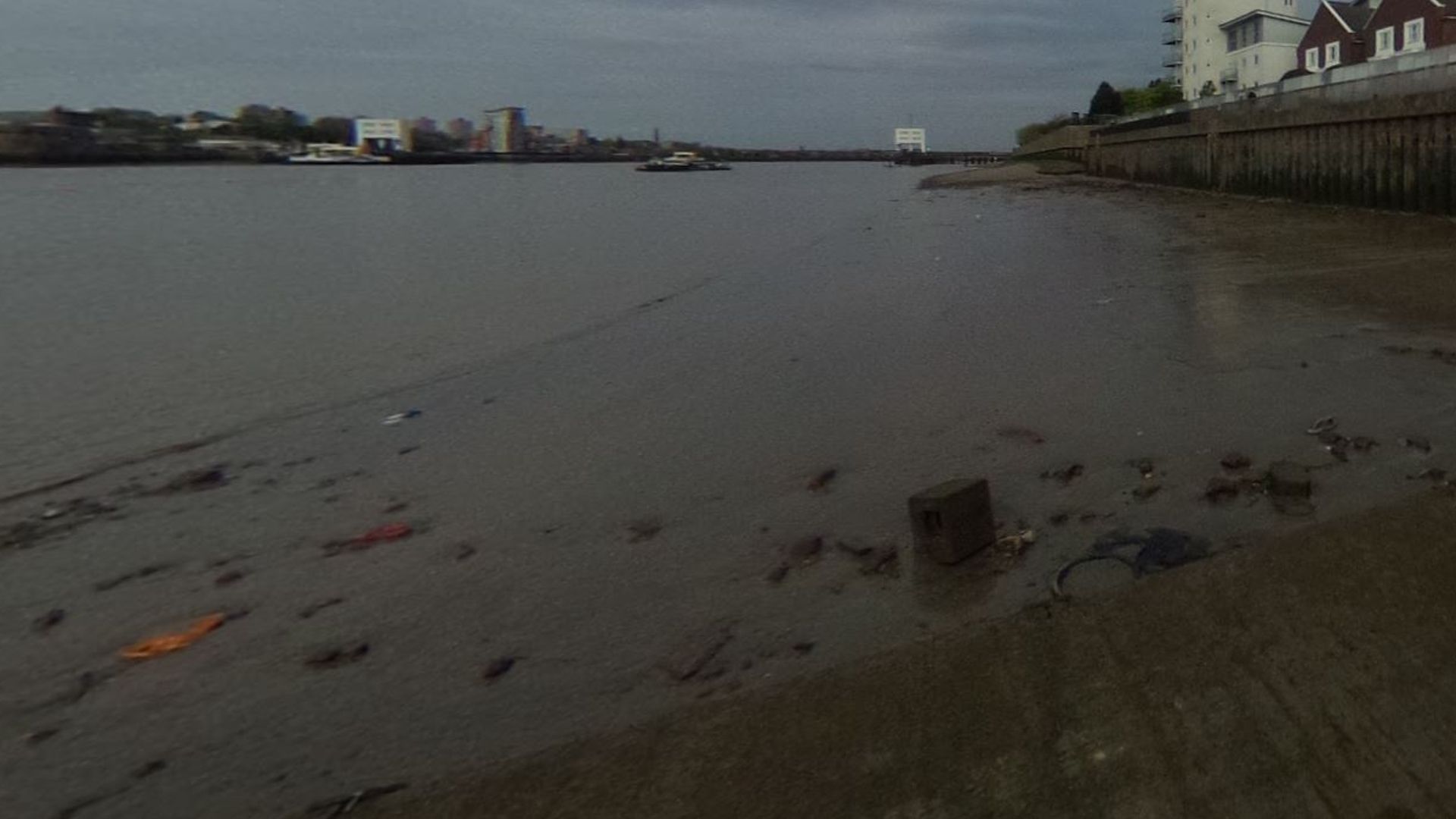 ‘Extensive search’ under way for 11-year-old girl who fell into River Thames