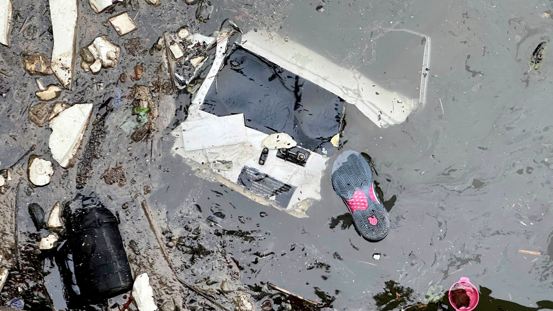 Investigators ‘looking into’ reports flock of birds spotted near helicopter crash site