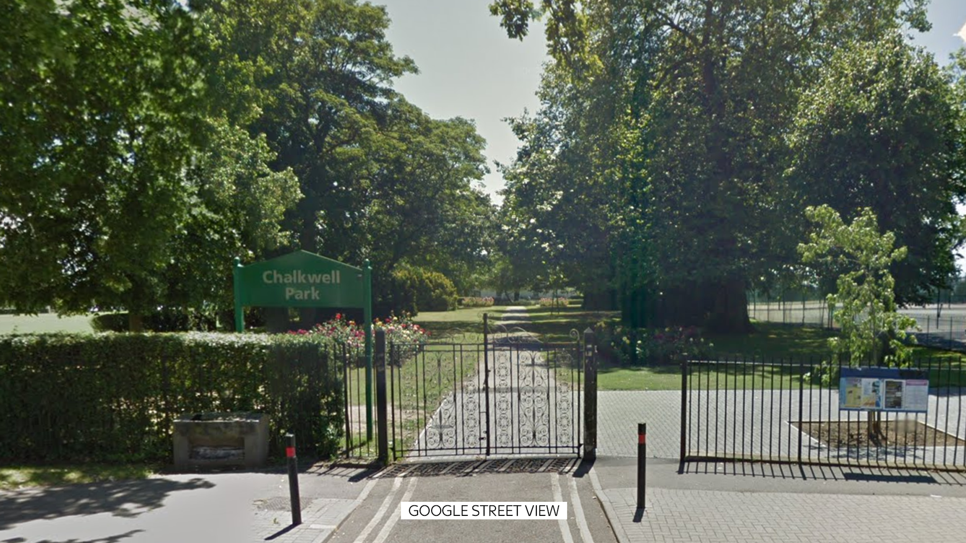 Five children in hospital after tree falls in park