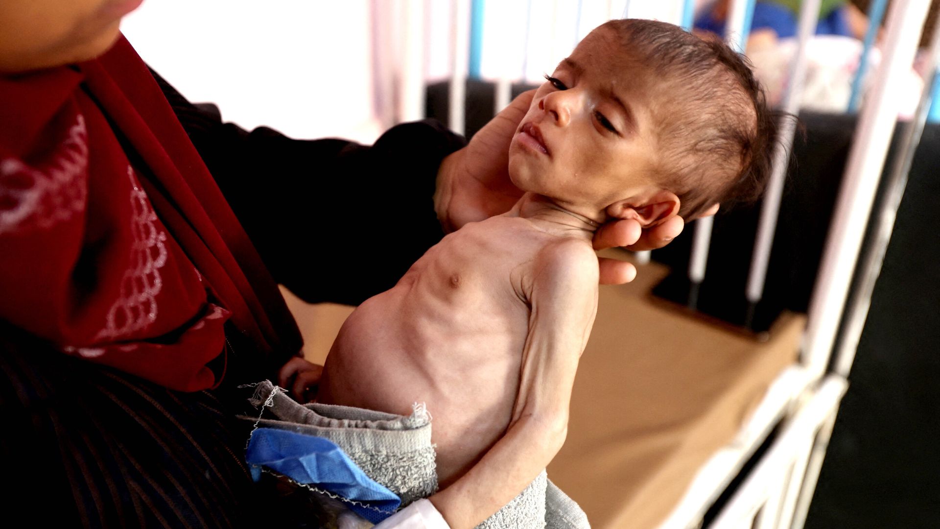 Bob Geldof accuses Israeli authorities of ‘lying’ about Gaza famine