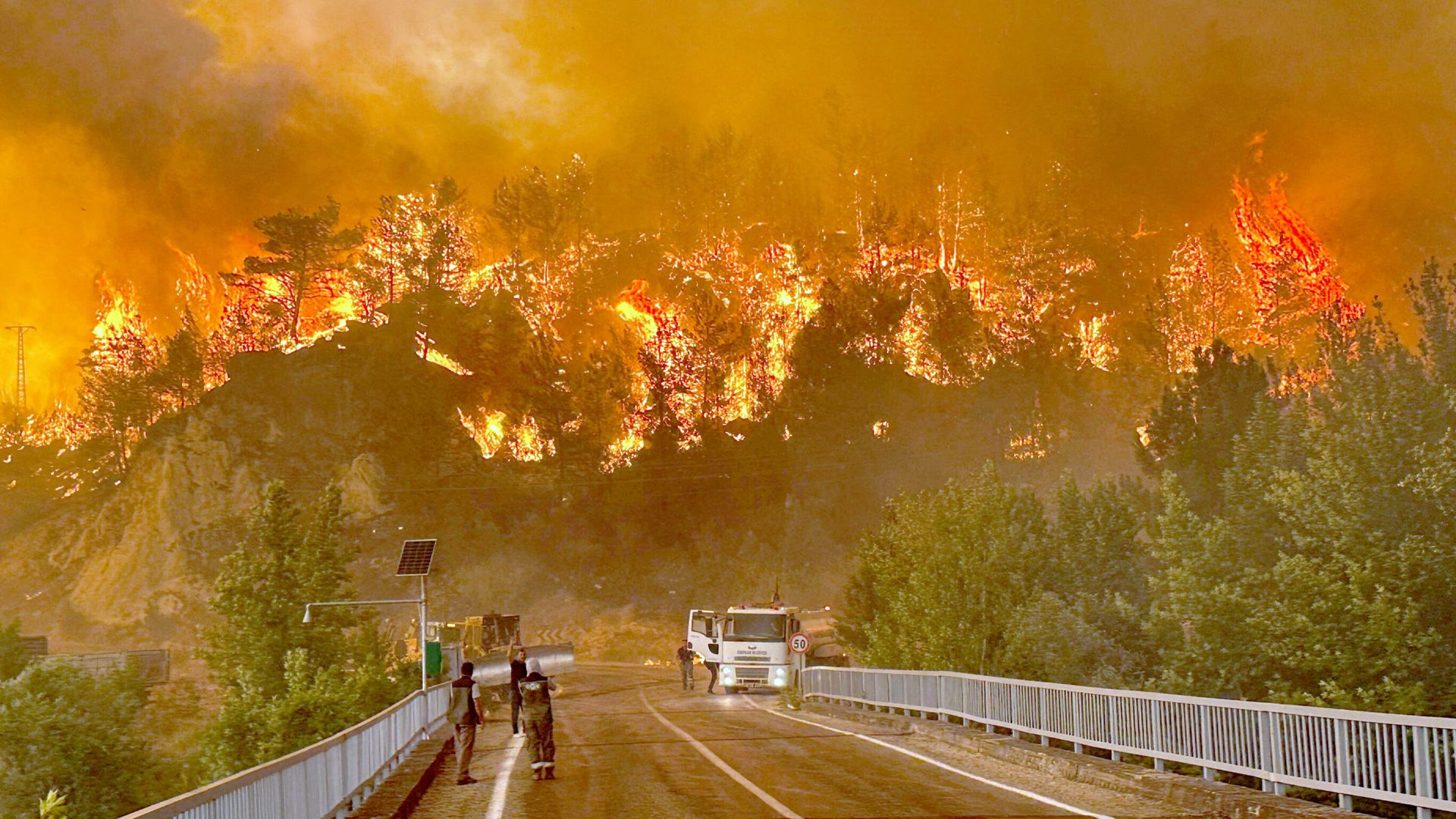 Turkey faces ‘truly great disaster’, warns Erdogan amid raging wildfires and sweltering temperatures