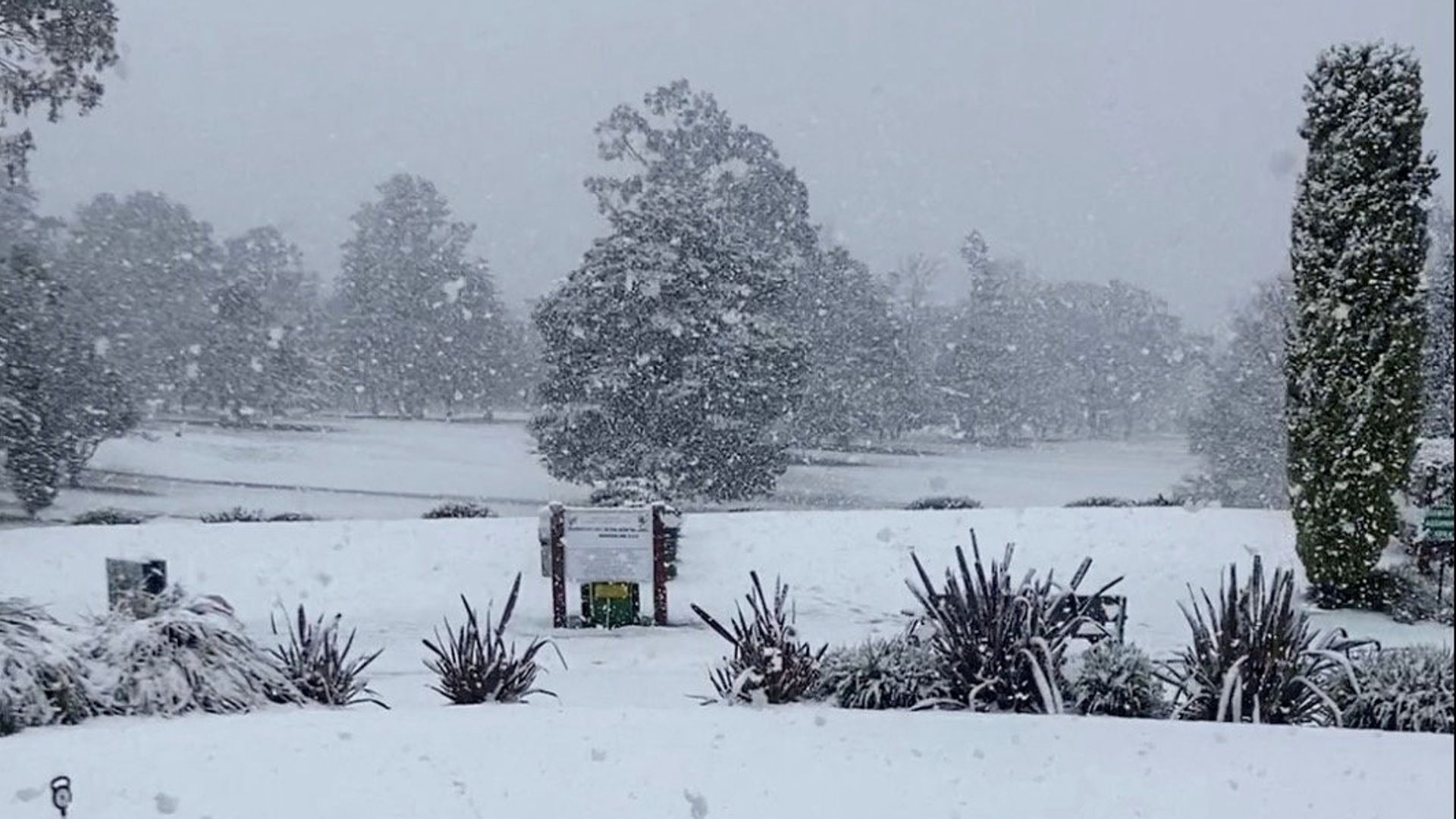 ‘Unusual’ snow, rain and thunderstorms sweep across eastern Australia