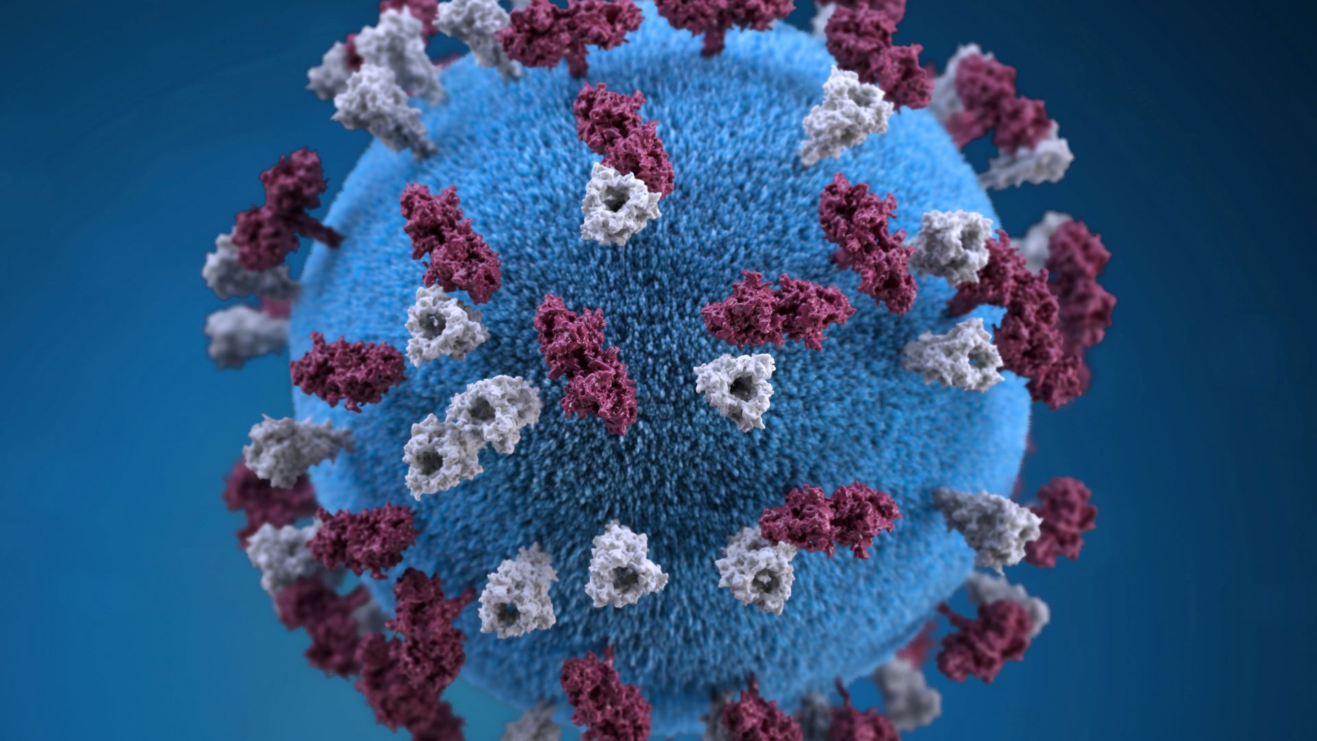 Why are child vaccination rates the lowest they have been in more than a decade?