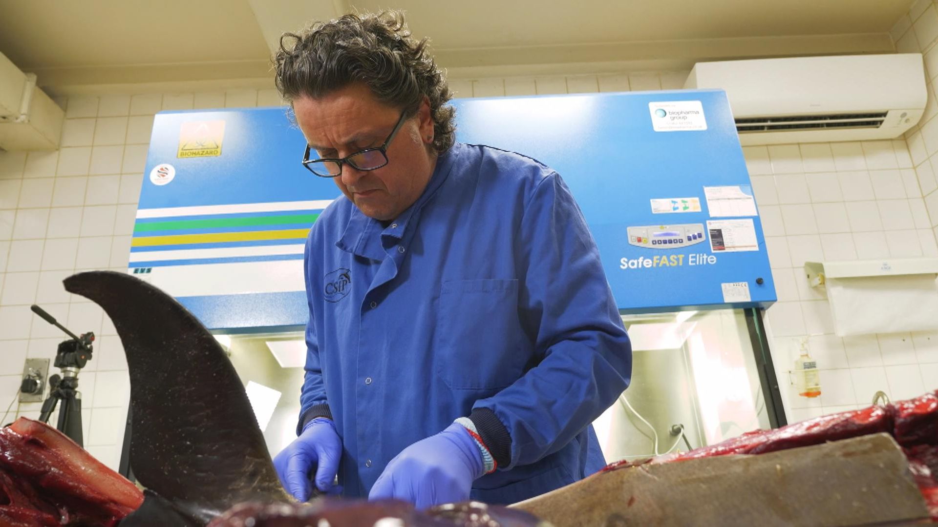 A real-world CSI for sea life: The lab investigating deaths we’re all complicit in