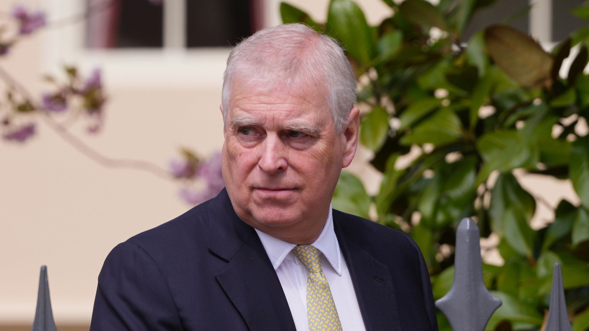 Prince Andrew has no public future – and lack of royal status ‘annoys him,’ author claims